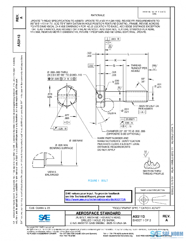 SAE AS3113A PDF