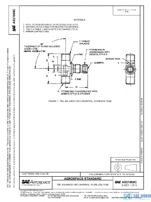 SAE AS21909C PDF
