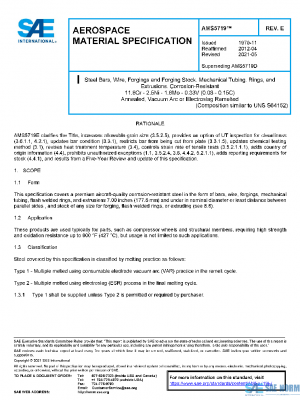 SAE AMS5719E PDF