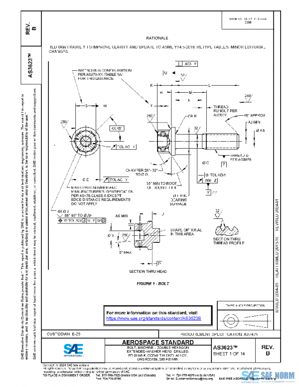 SAE AS3623B PDF