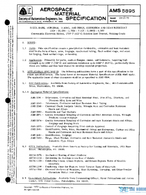 SAE AMS5895 PDF