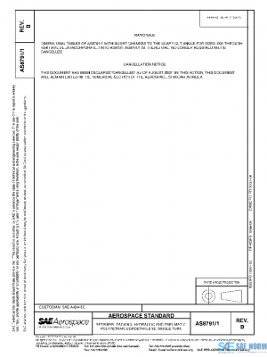 SAE AS8791/1B PDF