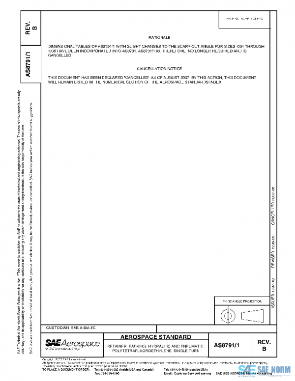 SAE AS8791/1B PDF