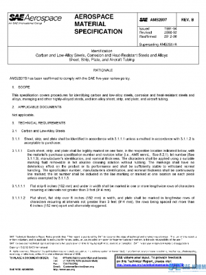 SAE AMS2807B PDF