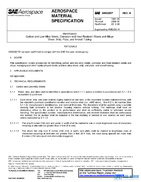 SAE AMS2807B PDF