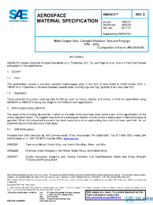 SAE AMS4675E PDF