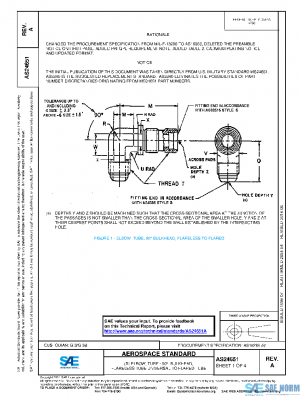 SAE AS24651A PDF