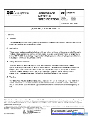 SAE AMS2419C PDF