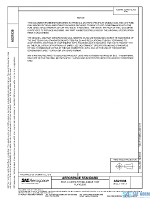 SAE AS21938 PDF