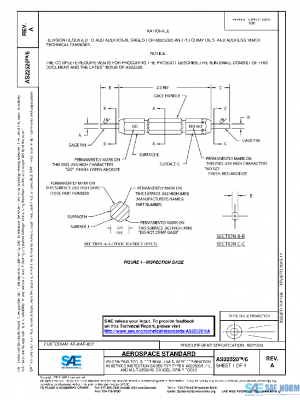 SAE AS22520/6A PDF