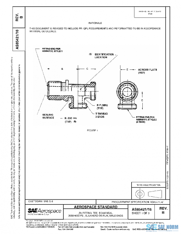 SAE AS85421/16B PDF