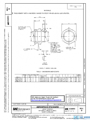 SAE AS4693B PDF