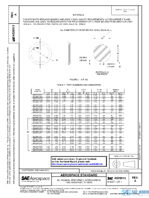 SAE AS29513A PDF