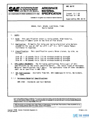 SAE AMS3817C PDF