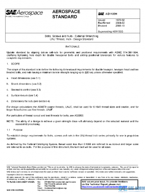 SAE AS1132H PDF