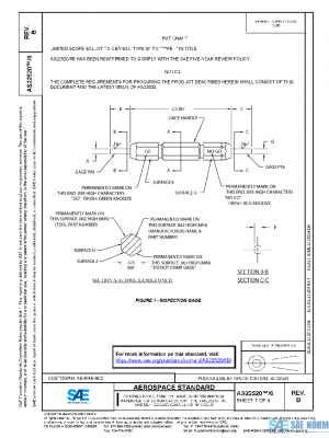 SAE AS22520/6B PDF