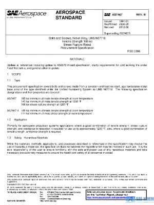 SAE AS7467B PDF