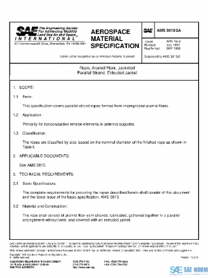 SAE AMS3813/2A PDF