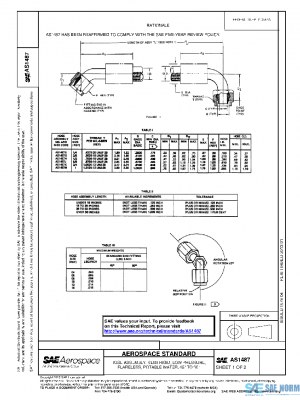 SAE AS1487 PDF