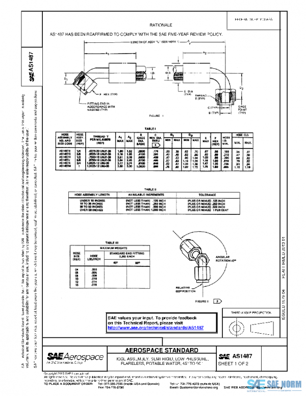 SAE AS1487 PDF