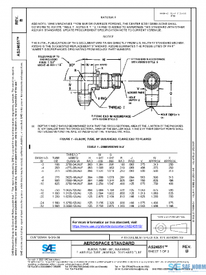 SAE AS24651B PDF
