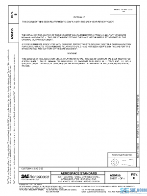 SAE AS9455B PDF