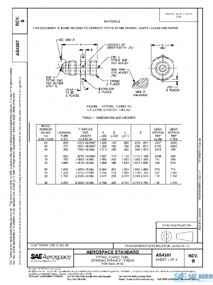 SAE AS4307B PDF