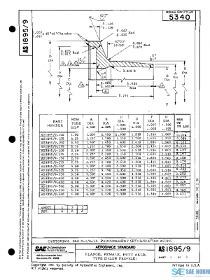SAE AS1895/9A PDF