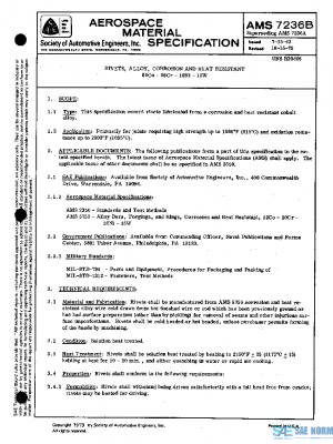 SAE AMS7236B PDF