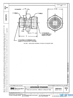 SAE AS21916B PDF
