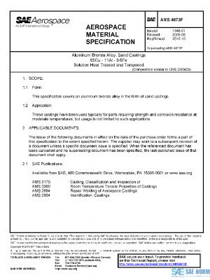 SAE AMS4873F PDF