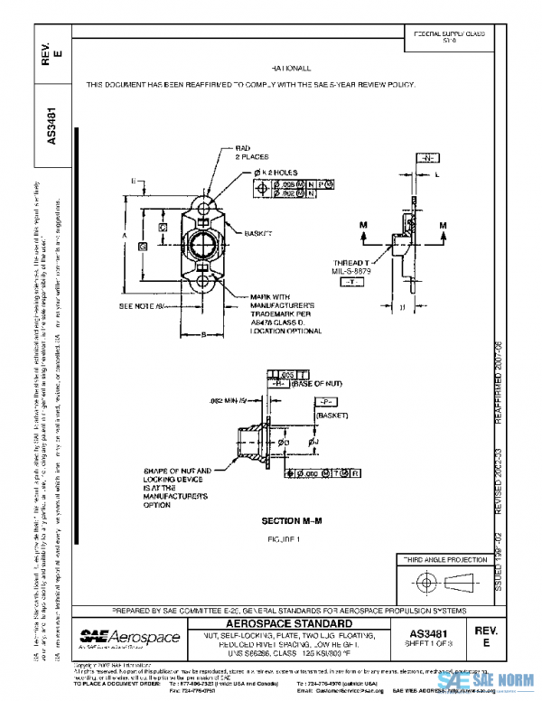 SAE AS3481E PDF