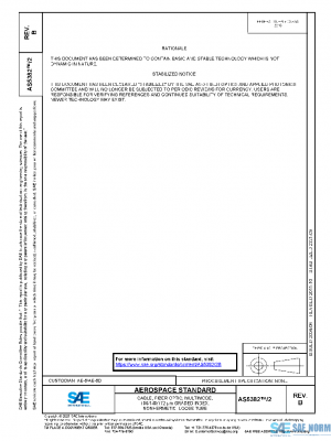 SAE AS5382/2B PDF