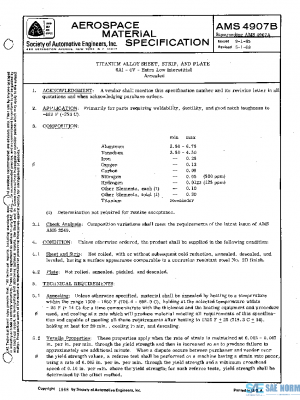 SAE AMS4907B PDF