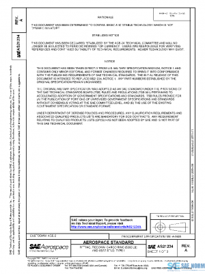 SAE AS21234A PDF