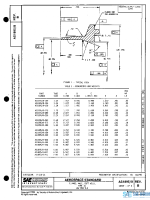 SAE AS1895/8B PDF