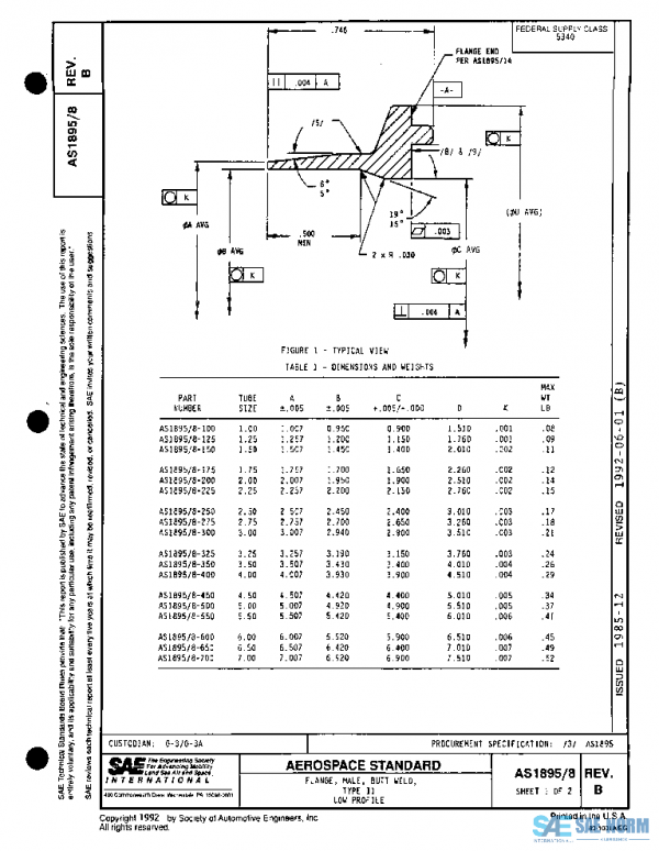 SAE AS1895/8B PDF