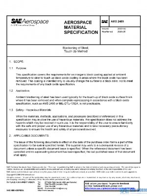SAE AMS2489 PDF