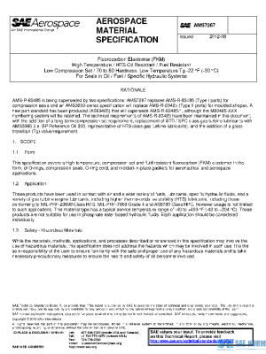 SAE AMS7287 PDF