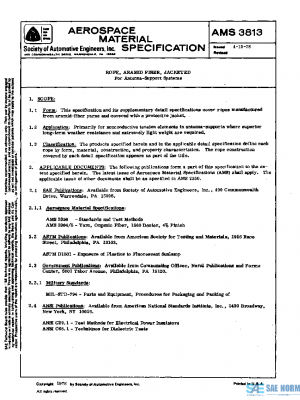 SAE AMS3813 PDF