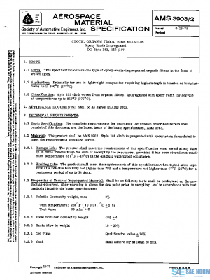 SAE AMS3903/2 PDF