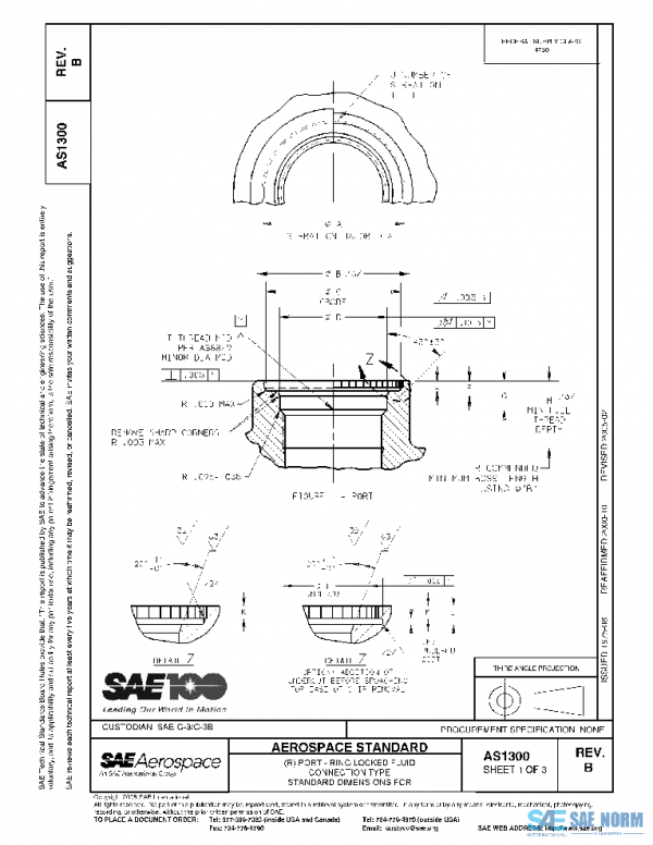SAE AS1300B PDF