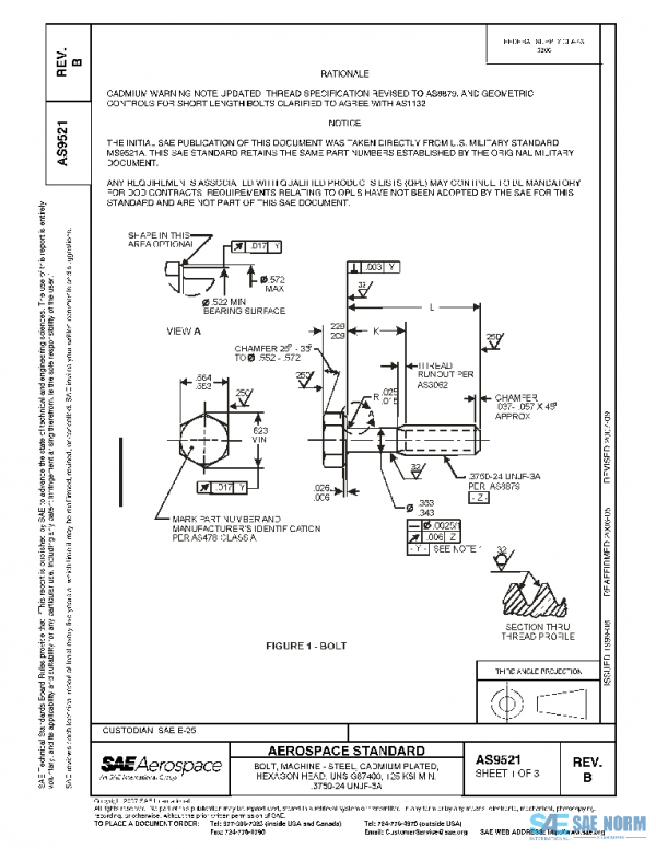 SAE AS9521B PDF