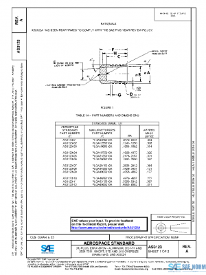 SAE AS3123A PDF