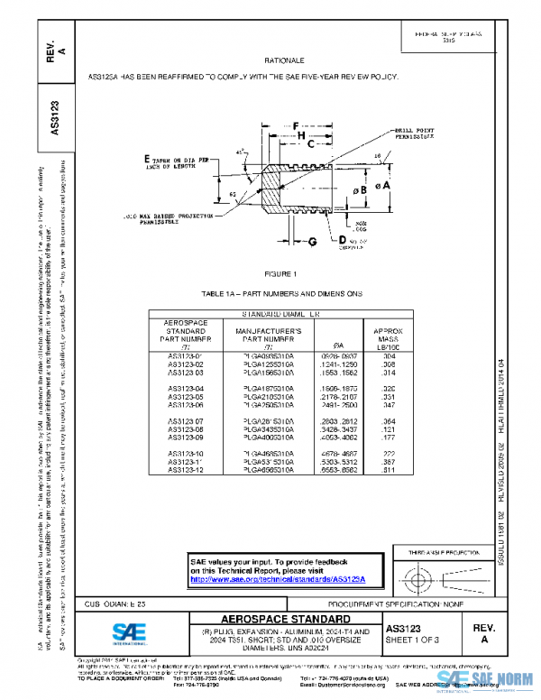 SAE AS3123A PDF