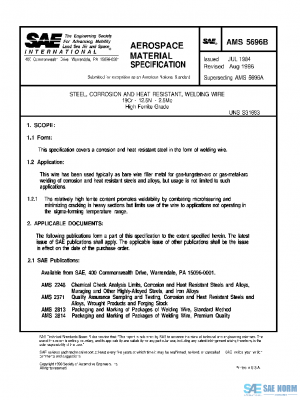 SAE AMS5696B PDF