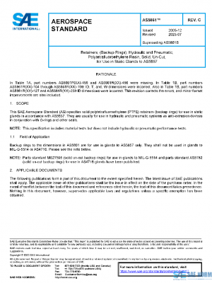 SAE AS5861C PDF