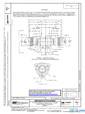SAE AS5869C PDF
