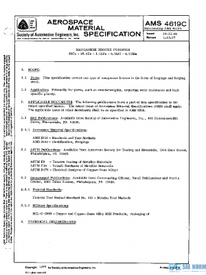 SAE AMS4619C PDF