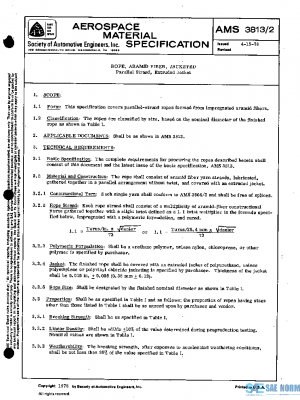 SAE AMS3813/2 PDF